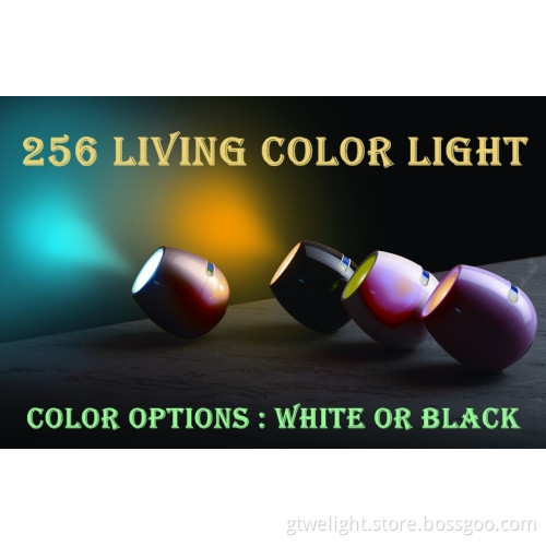 256 Color Changing Mood Light Suitable for Small Parties and Family Life